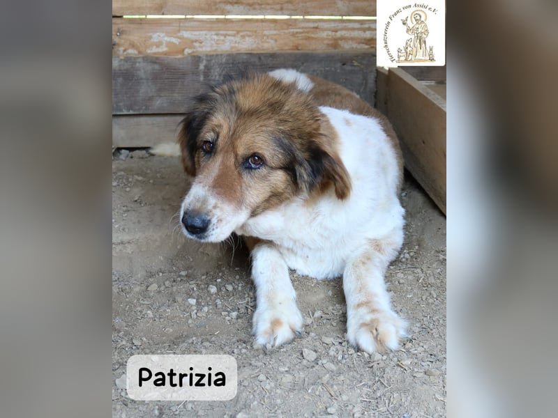 Patrizia – Glück bedeutet manchmal einfach, zusammen zu sein!