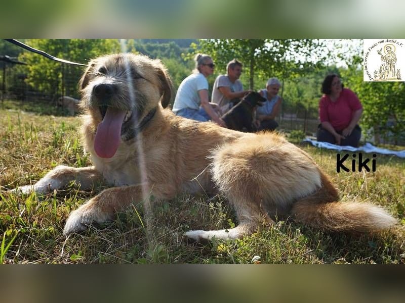 Kiki – Kuschelfee im Anflug!