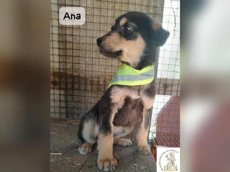 Ana – kleines Mädchen, große Pläne!