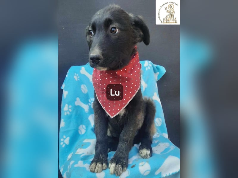 Lu – kleine Entdeckerin mit dem Kopf voller Ideen!