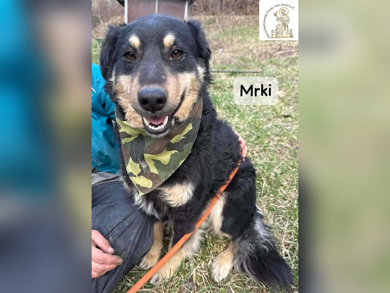Mrki – ein sanfter Schatz mit großem Herzen!