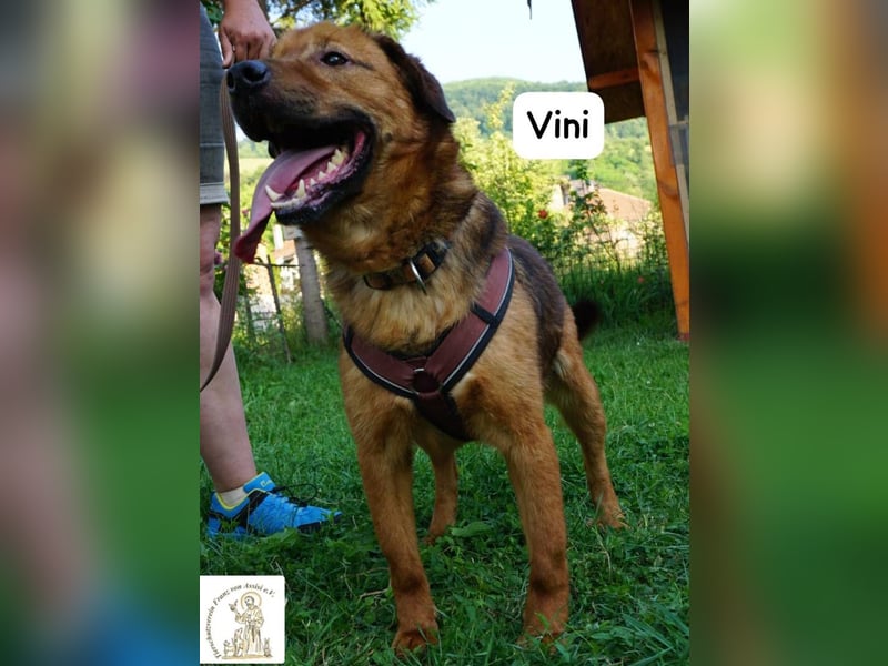 Vini – Mission Freiheit!