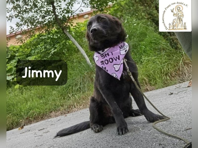 Jimmy – Aufgeben? Kam für ihn nie infrage!