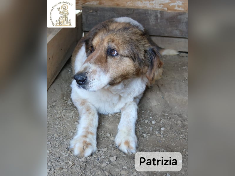 Patrizia – Glück bedeutet manchmal einfach, zusammen zu sein!