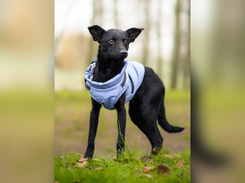 Aron❤️menschenverliebter Jungspund