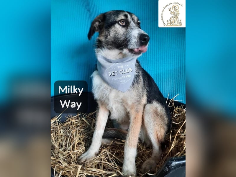 Milky Way – nicht laut, aber genau richtig!