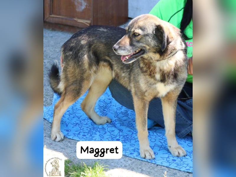 Maggret – ruhig, feinfühlig, zauberhaft und ein bisschen Magie auf vier Pfoten!