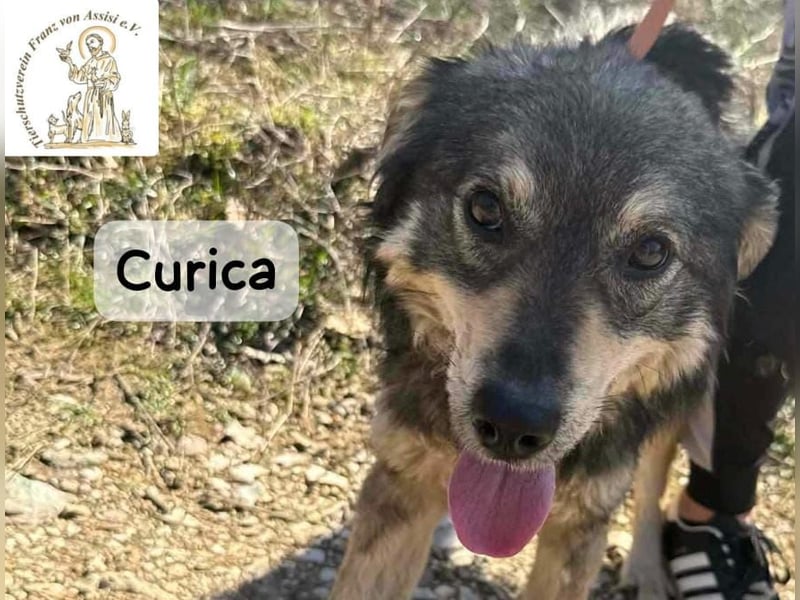 Curica – sucht Menschen, die ihr zeigen, wie sich Zuhause anfühlt!