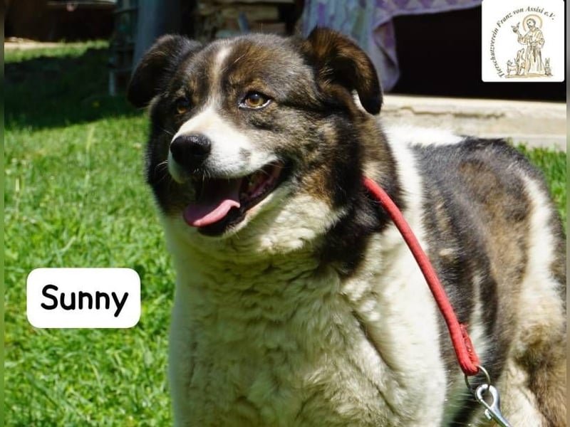 Sunny – Gemütlichkeit kennt keinen Feierabend!