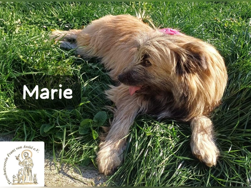 Marie – zu süß für diese Welt, aber kein bisschen aus Zucker!