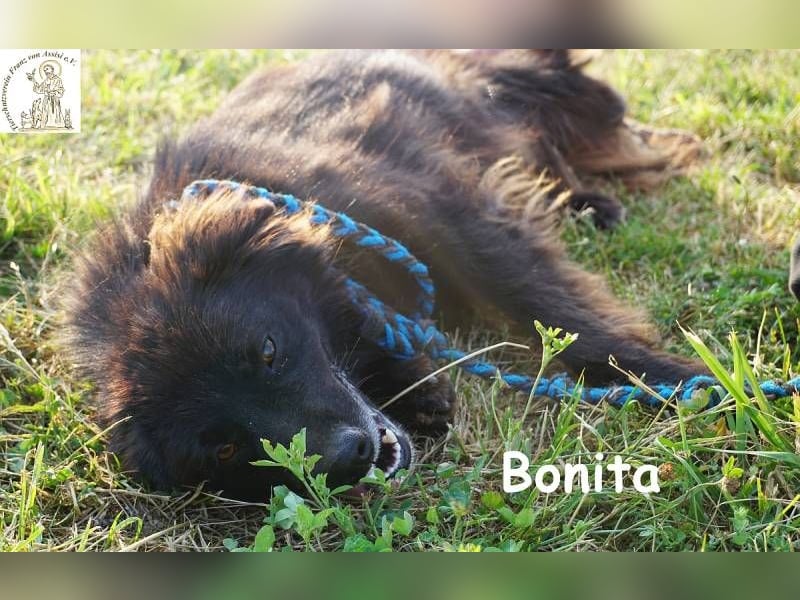 Bonita – Junges Mädchen mit Flair und Stil!