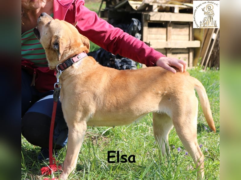 Elsa – die Prinzessin