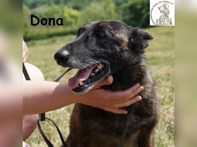 Dona – sucht ruhigen Hafen zum Seele baumeln lassen