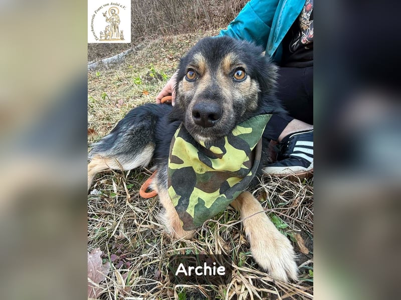 Archie – der Moment, in dem ein Hund dein Leben verändert!