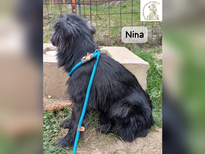 Nina – ein Platz zum Durchatmen gesucht!