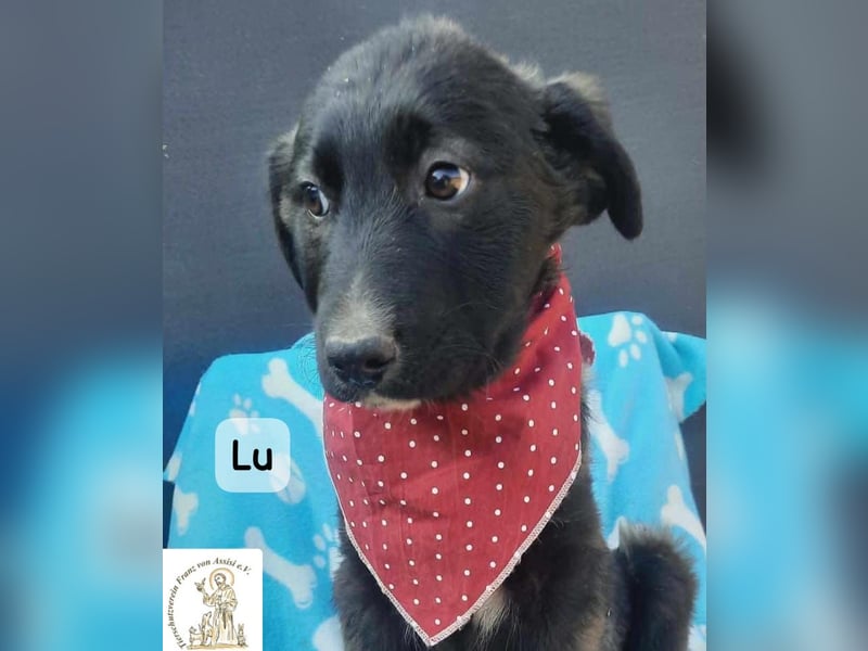 Lu – kleine Entdeckerin mit dem Kopf voller Ideen!