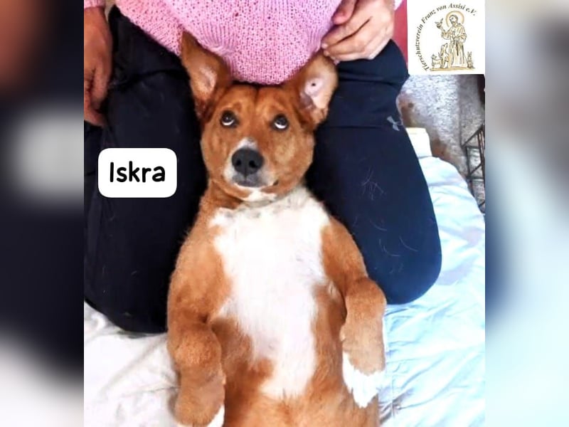 Iskra – Wenn Lebensmut Flügel bekommt!