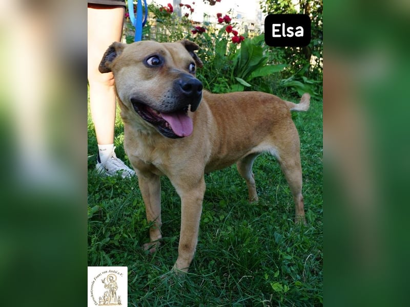 Elsa – Kuscheln, Freiheit und Abenteuer: Elsas Rezept fürs Glück!