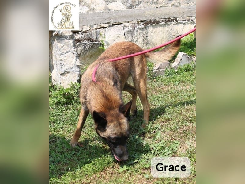 Grace – Köpfchen, Power und definitiv Pfeffer im Hintern!