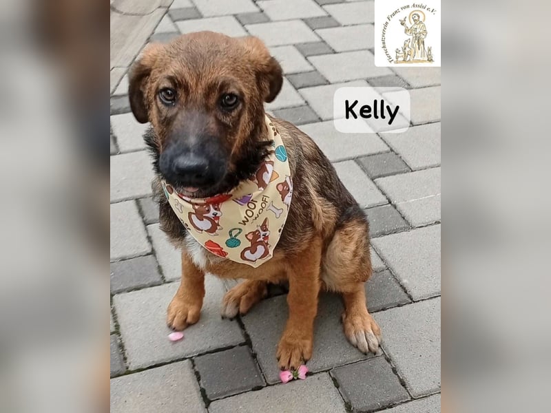 Kelly – Das Leben beginnt dort, wo Neugier auf Vertrauen trifft!