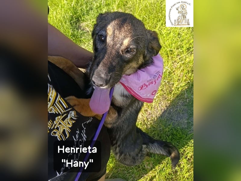 Hany – neugierig, frech und unwiderstehlich!