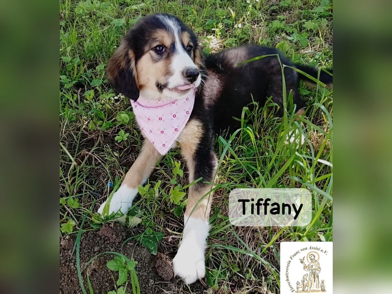 Tiffany – Man ist nie zu klein, um für jemanden die ganze Welt zu sein!