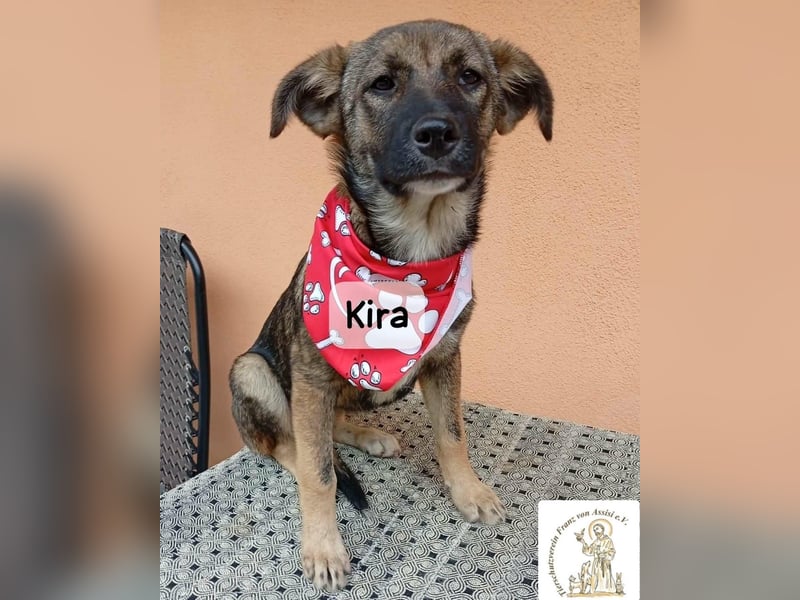 Kira – Warum nicht heute glücklich werden!