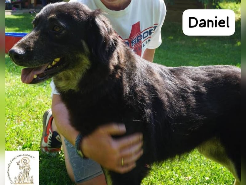 Daniel – Elegant, charmant und tierisch motiviert!