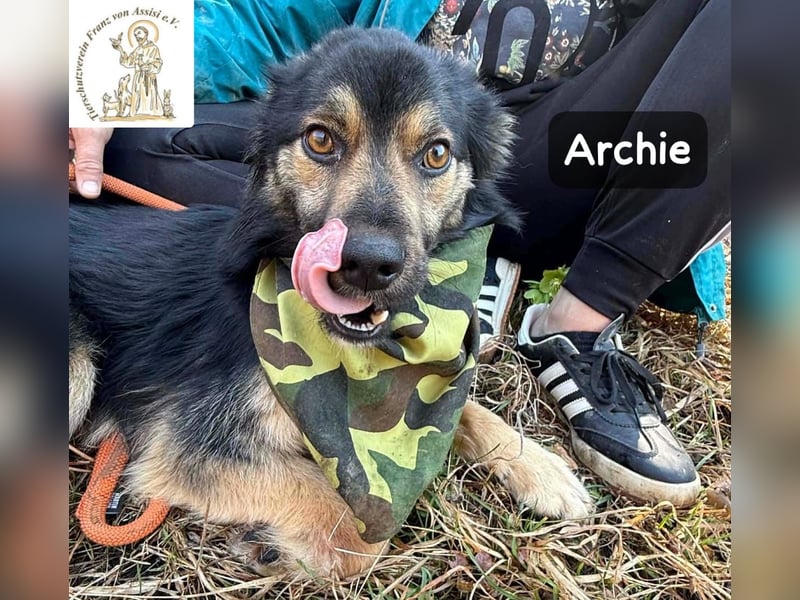 Archie – der Moment, in dem ein Hund dein Leben verändert!