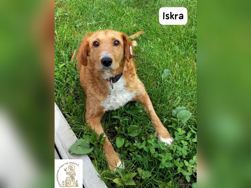 Iskra – Wenn Lebensmut Flügel bekommt!