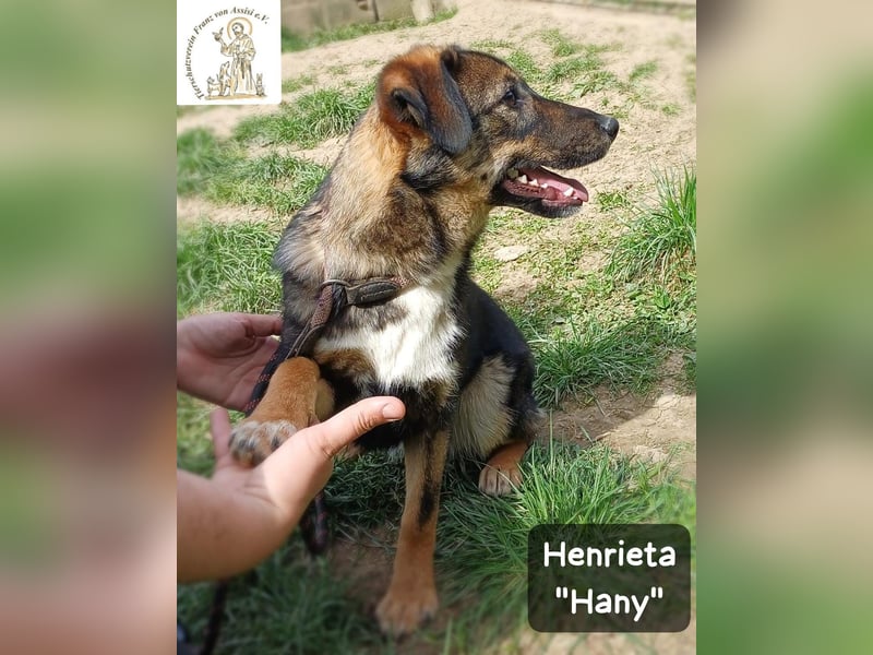 Hany – neugierig, frech und unwiderstehlich!