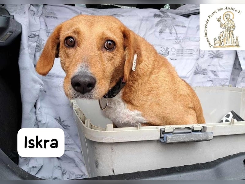 Iskra – Wenn Lebensmut Flügel bekommt!