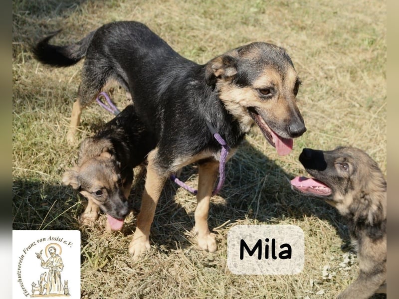 Mila – Heldinnen können auch manchmal ganz klein sein!