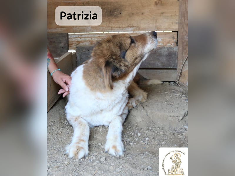 Patrizia – Glück bedeutet manchmal einfach, zusammen zu sein!