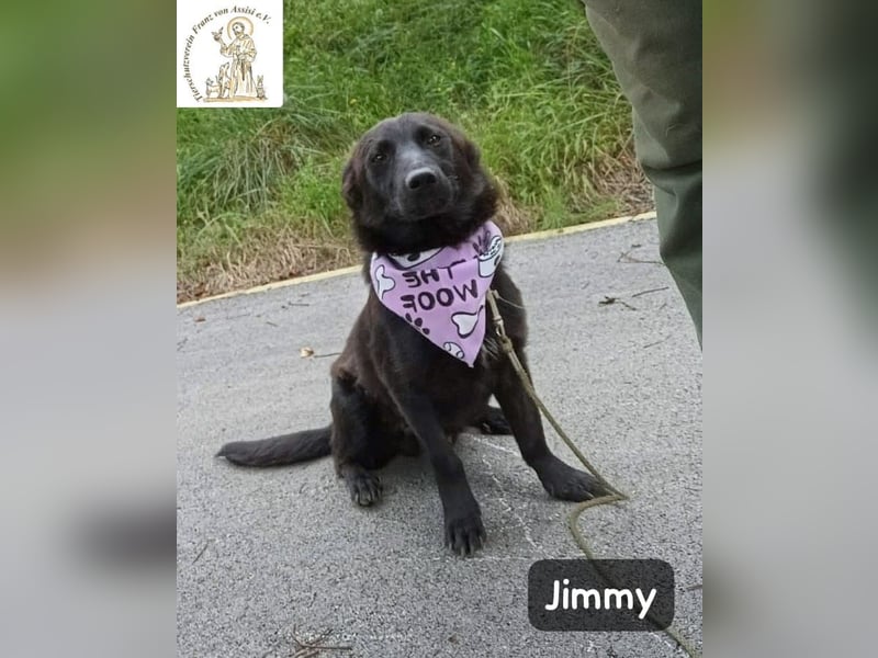 Jimmy – Aufgeben? Kam für ihn nie infrage!
