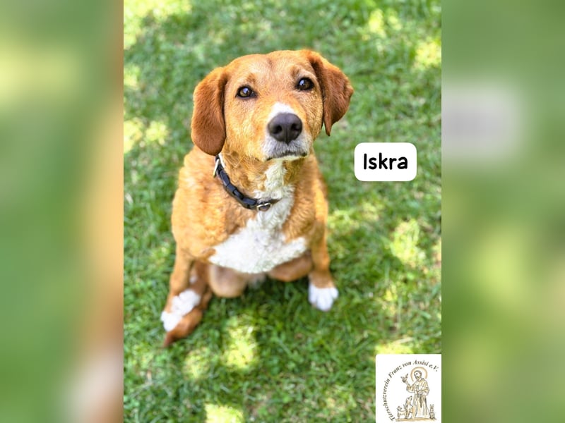 Iskra – Wenn Lebensmut Flügel bekommt!