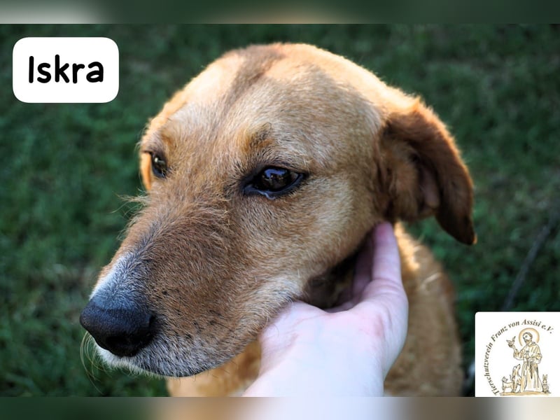 Iskra – Wenn Lebensmut Flügel bekommt!