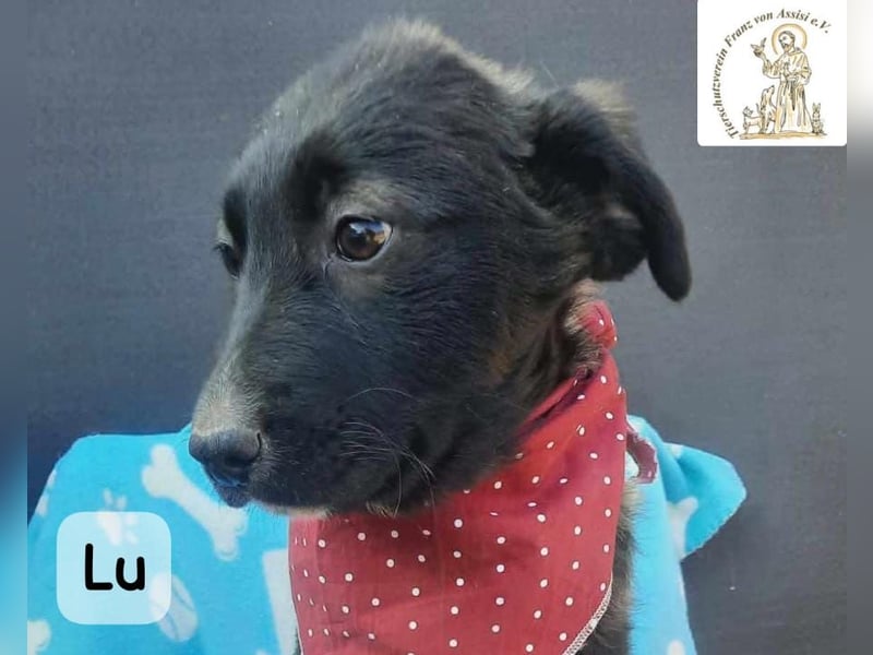 Lu – kleine Entdeckerin mit dem Kopf voller Ideen!