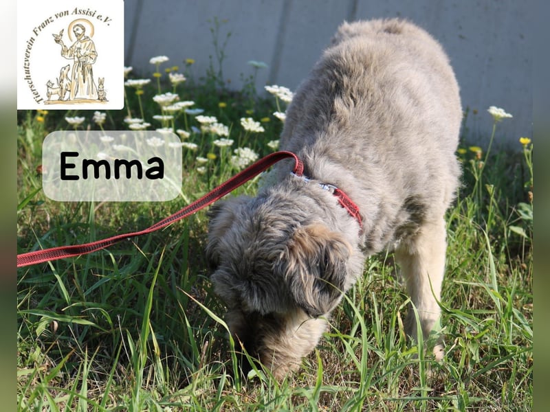 Emma – manche Herzen werden einfach nie alt!