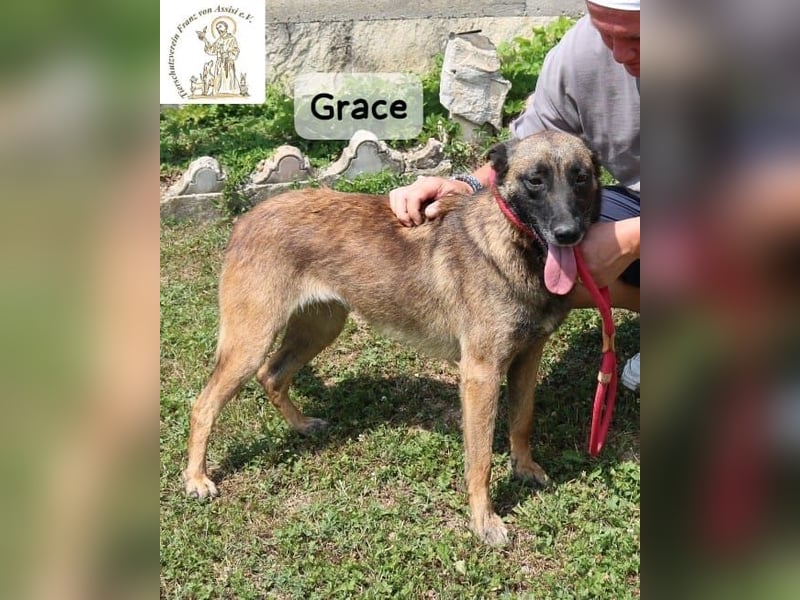 Grace – Köpfchen, Power und definitiv Pfeffer im Hintern!