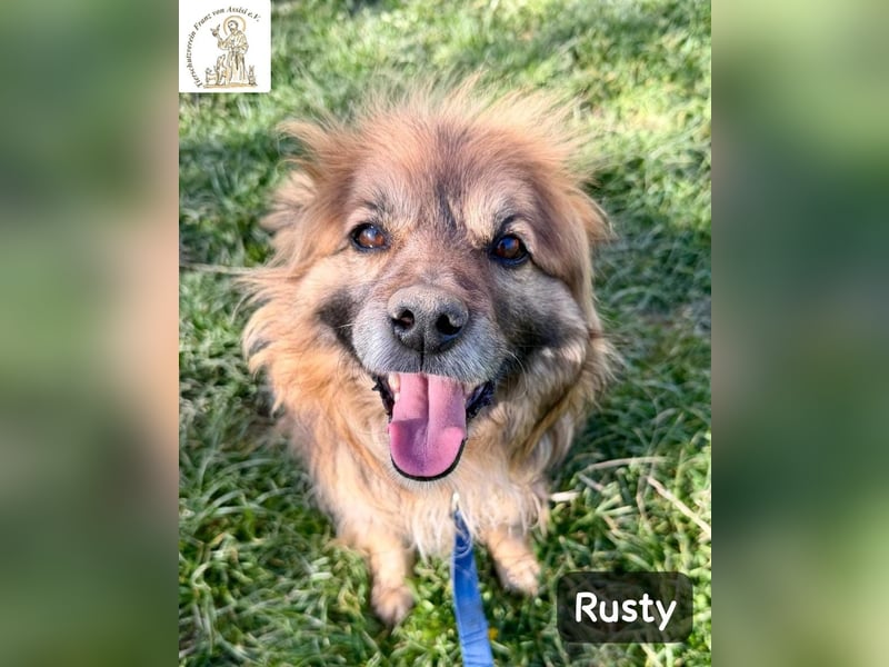 Rusty – Profi im Glücklichsein!