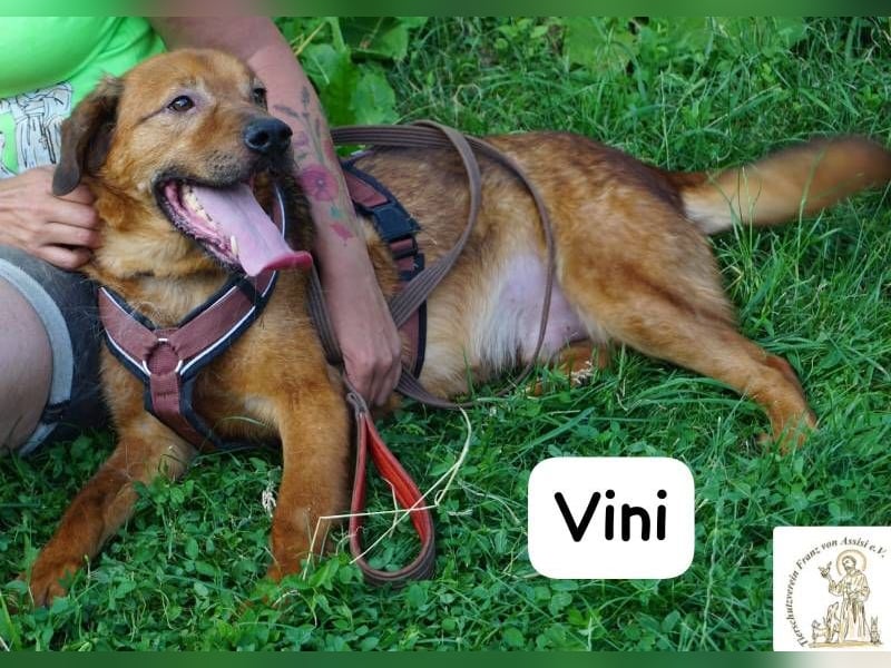 Vini – Mission Freiheit!