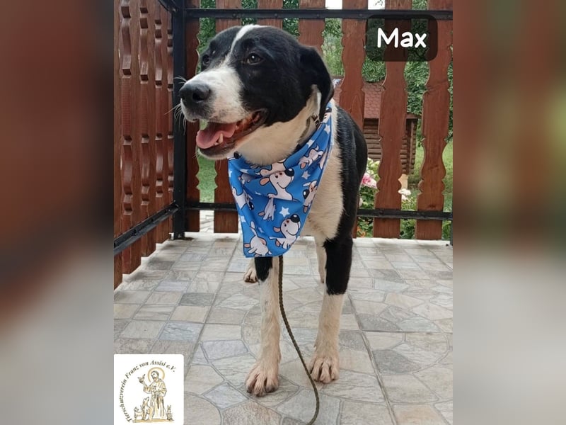 Max – seine zweite Chance auf ein wundervolles Leben!