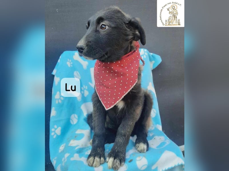 Lu – kleine Entdeckerin mit dem Kopf voller Ideen!