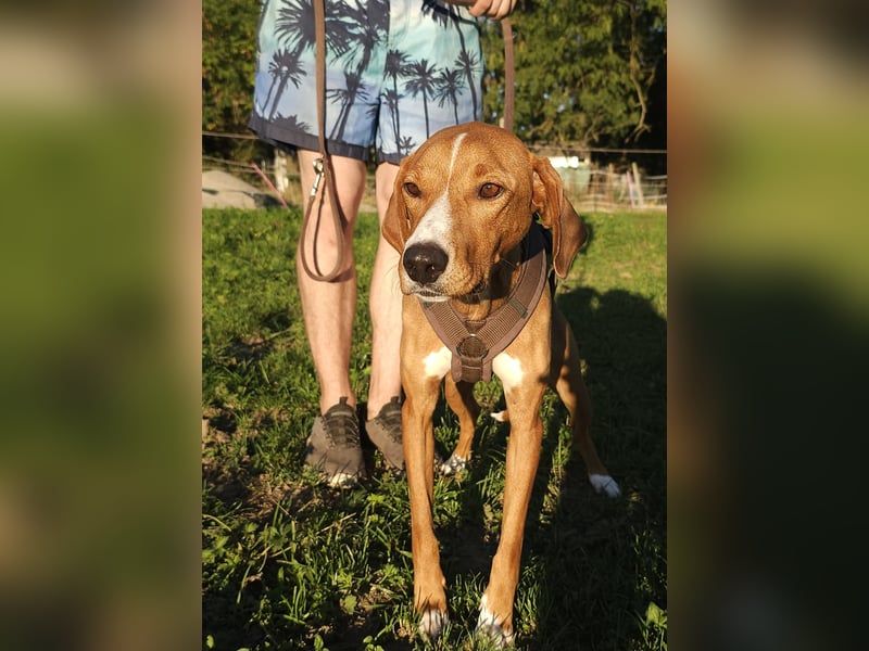 Lana – ein Leben im Radius von 80 Zentimetern!