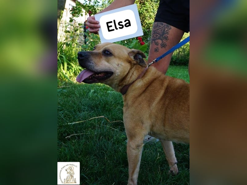 Elsa – Kuscheln, Freiheit und Abenteuer: Elsas Rezept fürs Glück!