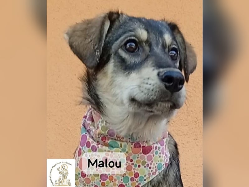 Malou – kleine Entdeckerin mit feinem Gespür!