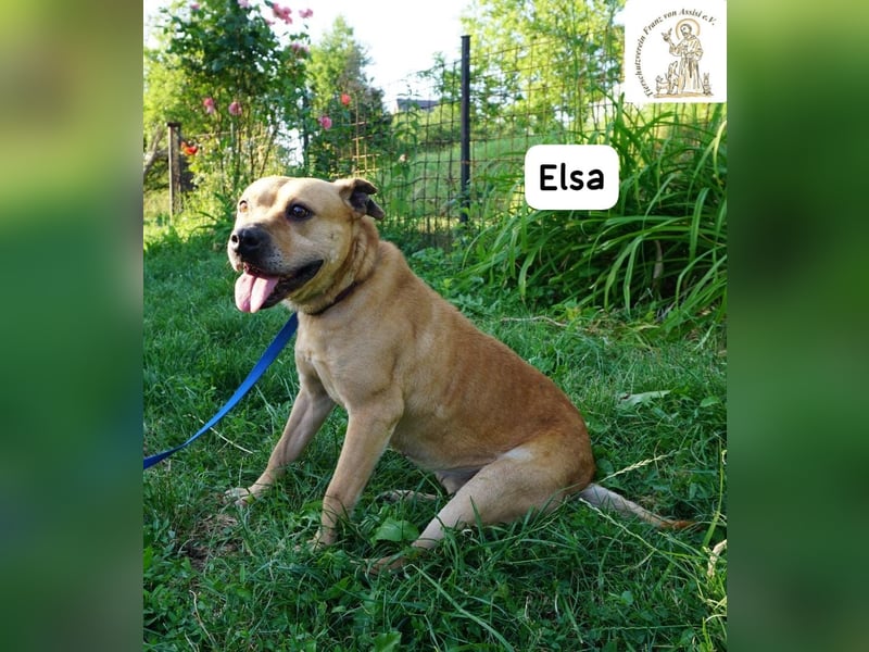 Elsa – Kuscheln, Freiheit und Abenteuer: Elsas Rezept fürs Glück!