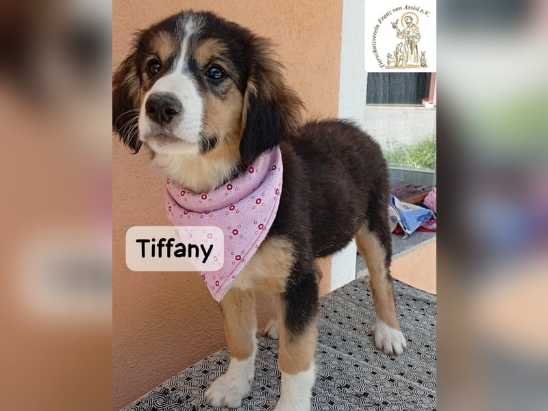 Tiffany – Man ist nie zu klein, um für jemanden die ganze Welt zu sein!
