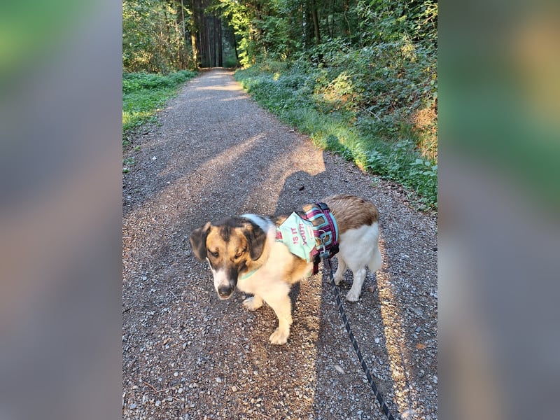 Ike – nicht nur optisch was ganz Besonderes!